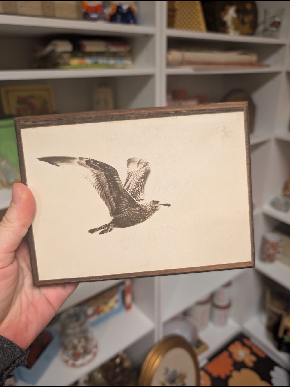 Classic Seagull Wall Art Plaque Vintage